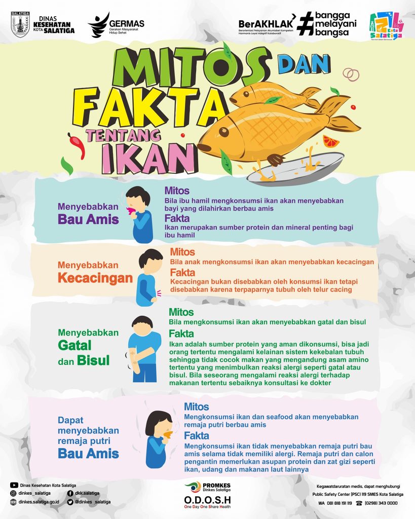 Menjelajahi Dunia Pendidikan Anak Fakta Dan Mitos Seputar Tk Dan Sd Yang Perlu Anda Ketahui