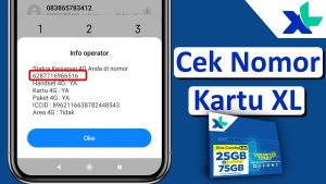 Cara Cek Pajak Kendaraan Online Panduan Lengkap Untuk Pemula