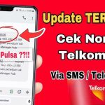 Cara Cek Saldo Bri Terbaru Panduan Lengkap Untuk Pemula