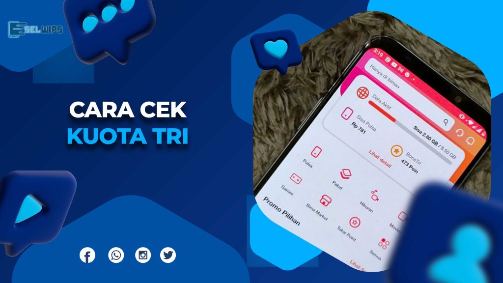 Panduan Lengkap Merawat Tanaman Hias Agar Tumbuh Subur Dan Indah